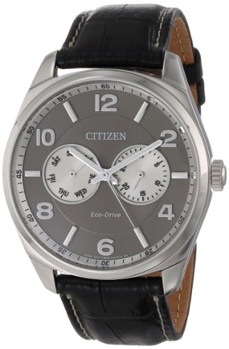 Citizen Men's AO9020-17H Eco-Drive Silver-Tone Watch with Black Leather Band