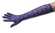 Fabulous Nylon Lace Opera Length Gloves