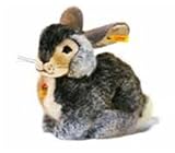 10 Dossy Pet Rabbit