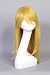 CosplayerWorld Wig Vincent Pandora Hearts, Wig Cosplay Manga Wigs Anime Games Party Wig Lolita Cheap
