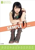 峯岸　みなみ [2012 ポスタータイプカレンダー]