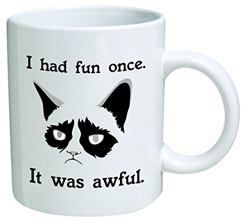 Grumpy cat "I had fun once, it was awful" - 11 OZ Coffee Mug - Funny Inspirational and sarcasm - By A Mug To Keep TM