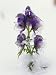 Blue Monkshood Flowers in Ice, Berchtesgaden National Park, Germany Photographic Poster Print by Norbert Rosing, 24x32