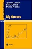 Big Queues (Lecture Notes in Mathematics)