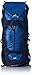 High Sierra Sentinel Top Load Internal Frame Pack