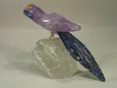 Hand Carved Amethyst Parrot Bird with Sodalite Tail on Quartz Perch Sculpture