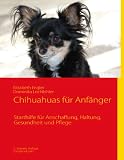 Chihuahuas für Anfänger: Starthilfe für Anschaffung, Haltung, Gesundheit und Pflege