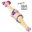 Charming Large Henrietta Chicken