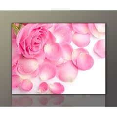 Bild xxl auf echter Leinwand g�nstig & modern (Pink_wet_Flower-60x80cm) High Definition Bilder fertig gerahmt mit Keilrahmen riesig. Ausf�hrung Kunstdruck auf echter Leinwand als Wandbild mit Rahmen. Preiswerter als �lbild Gem�lde Poster Plakat mit Bilderrahmen. Bild Style Deko Natur Pflanzen Pink Rosa. Made in Germany