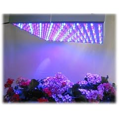Profi LED Pflanzen Grow Lampe 225 LEDs Rot Blau