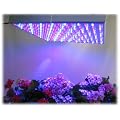 Profi LED Pflanzen Grow Lampe 225 LEDs Rot Blau