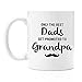The Best Dads Get Promoted to Grandpa | Premium 11oz Coffee Mug - Perfect Grandpa Gifts, Grandpa Coffee Mug, Grandparents Day Gifts for Dad and Grandpa for Grandfather Birthday Christmas Granddaughter