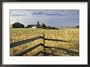 Ebey's Landing National Historic Site, Whidbey Island, Washington, USA Framed Photographic Poster Print by William Sutton, 29x21