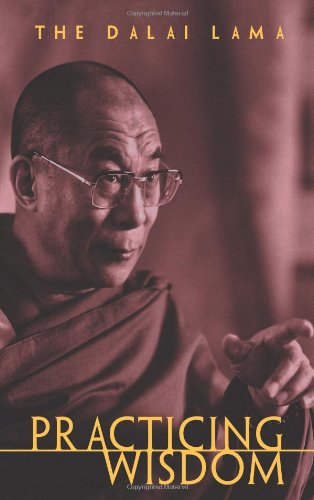Practicing Wisdom: The Perfection of Shantideva's Bodhisattva Way