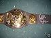 HULK HOGAN AUTOGRAPHED WWE CHAMPIONSHIP REPLICA BELT (WRESTLING)