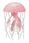 Mauve Stinger Jellyfish