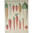 Cavallini Garden Vegetables Gift Wrap Poster Decoupage Paper