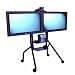 Avteq VMS-100L ViewMount Series - Mobile Flatscreen Rollabout Stand for two 30 to 50 Screens