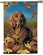 Dachshund 37"x26" Art Flag/Banner