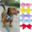 "SUAVE BOW" Shimmery Chiffon Bow with Crystal Accent Pet Necklace for Dogs and Cats - Pink, X-Small (8"-10")
