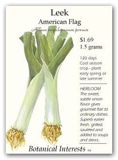 Leek American Flag Seed Leek American Flag Seed