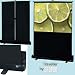 Draper Traveller - Projection screen - 67 in - matte white