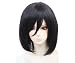 FENGSHANG Lolita Attack on Titan Mikasa Ackerman Cosplay Wigs in Beauty Black 14 Inches