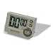 Salter Big Button Timer