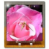 beautiful pink rose - 6x6 Desk Clock