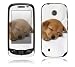 Animal Sleeping Puppy Design Decorative Skin Cover Decal Sticker for LG Cosmos Touch VN270 Cell Phone