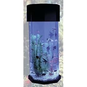 Octagon Aqua Scape