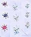 Boxed Fancy 3 pc Ladies Cotton Handkerchiefs