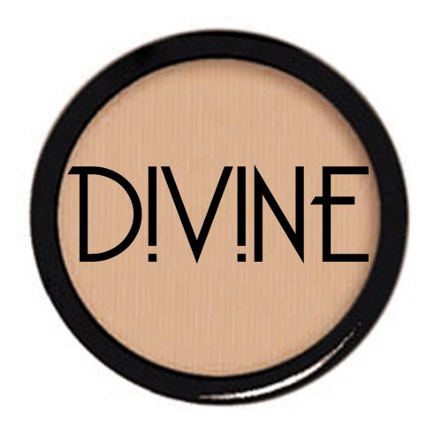 Divine Skin & Cosmetics Concealer 6.5G