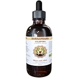 Cilantro Liquid Extract, Organic Cilantro (Coriandrum Sativum) Tincture Supplement 2 oz