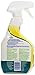 Green Works Glass & Surface Cleaner, 32 oz