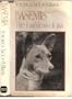 Basenjis: The barkless dogs of Central Africa
