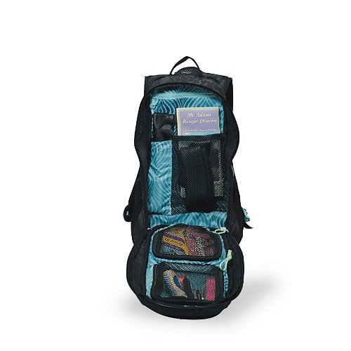 Dakine Girls Amp BackPack (Skyler, 18 x 10.5 x 6.5-Inch)