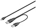 Wentronic Câble USB 2 fiches A / Fiche mini B 5 broches 0,6m (Import Allemagne)