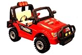 Dominator R/C