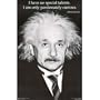 Albert Einstein (Curiosity) Art Poster Print - 23x35 Collections Poster Print, 23x35 College Poster Print, 23x35