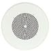 ASWG1DK Amplified Ceiling Speaker