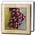 True bug eggs on wild flower.They always lay eggs on floating plant parts,like leaves or this flower - 6 Inch Tile Napkin Holder