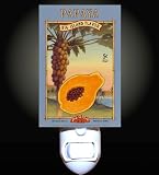 Tropical Papaya Decorative Night Light