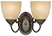 Hardware House 543827 Berkshire 12-1/4-Inch by 8-1/4-Inch Bath/Wall Lighting Fixture Oil Rubbed Bronze