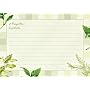 C.R. Gibson Potted Herbs Recipe Cards - Potted Herbs - 5 � 7