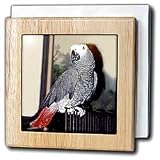 Birds - African Grey Parrot - Tile Napkin Holders