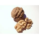 世界美食探究　アメリカ産　クルミハーフ　生　1ｋｇ