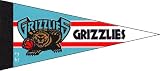 NBA Mini Memphis Grizzlies Pennant, (2-Pack)