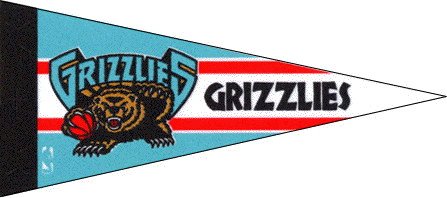 NBA Mini Memphis Grizzlies Pennant, (2-Pack)