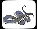 Decorated Mouse Pad with animal, reptile, wart, snake